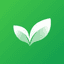 Cadentiq · Your daily rhythm, kept. logo