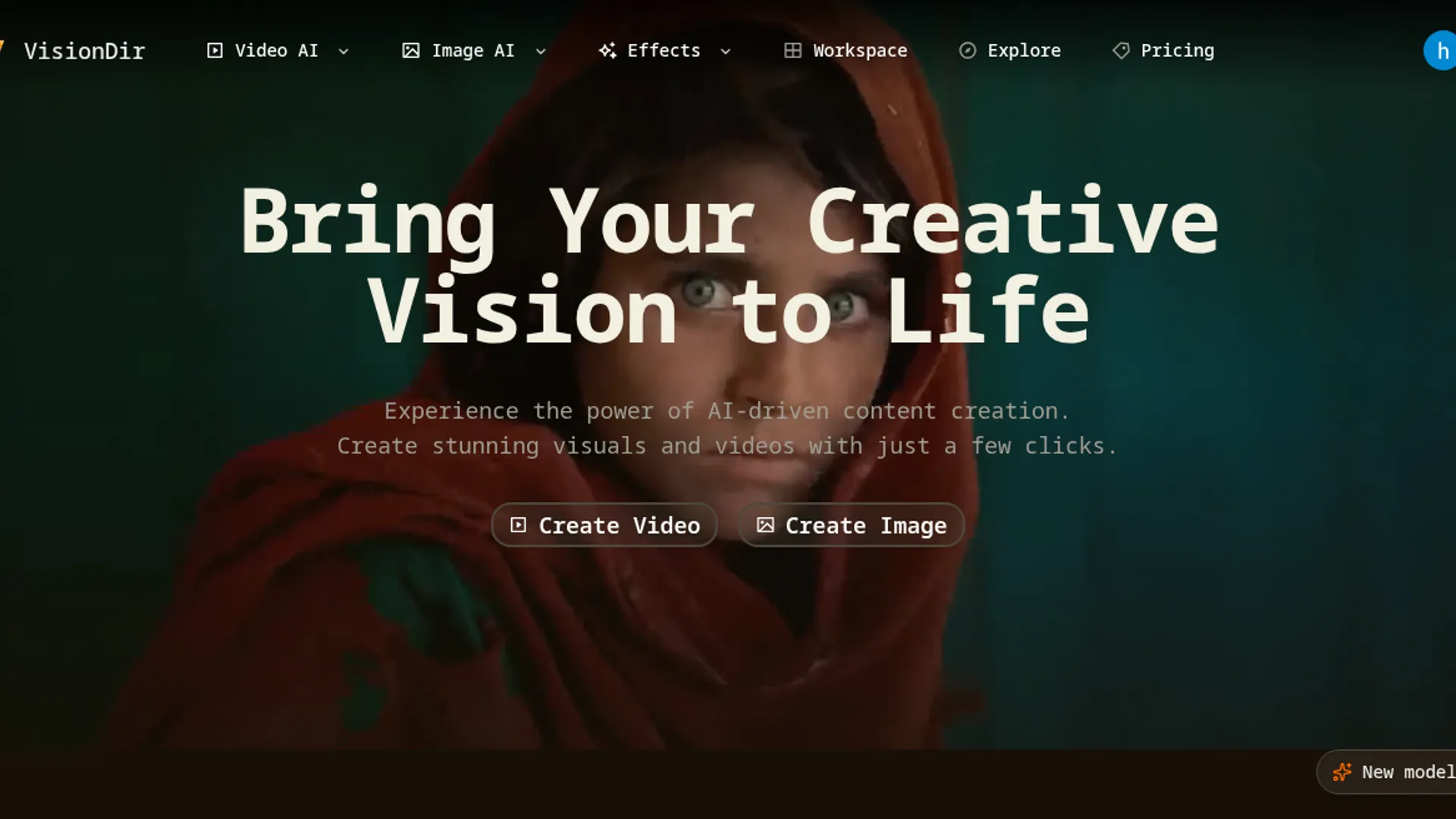 VisionDir screenshot 1